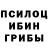 Псилоцибиновые грибы мицелий Oksana Sudoplatova